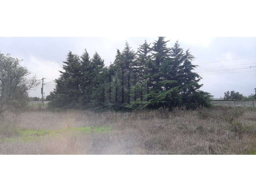 Terreno com 15.000 m² em Plena Natureza na Região de Palmela - Grande imagem: 5/14