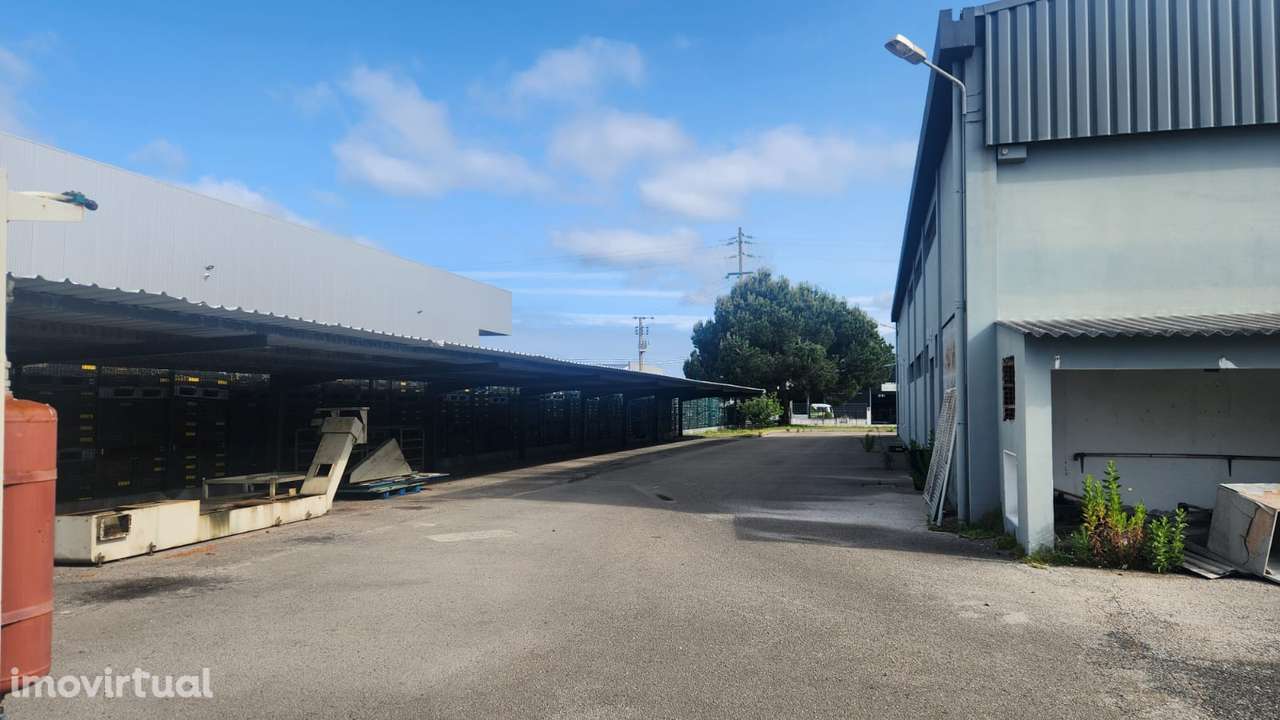 Pavilhão zona Ind., 1500m2, Casal da Lebre, M. Grande(Opção de compra) - Grande imagem: 4/26