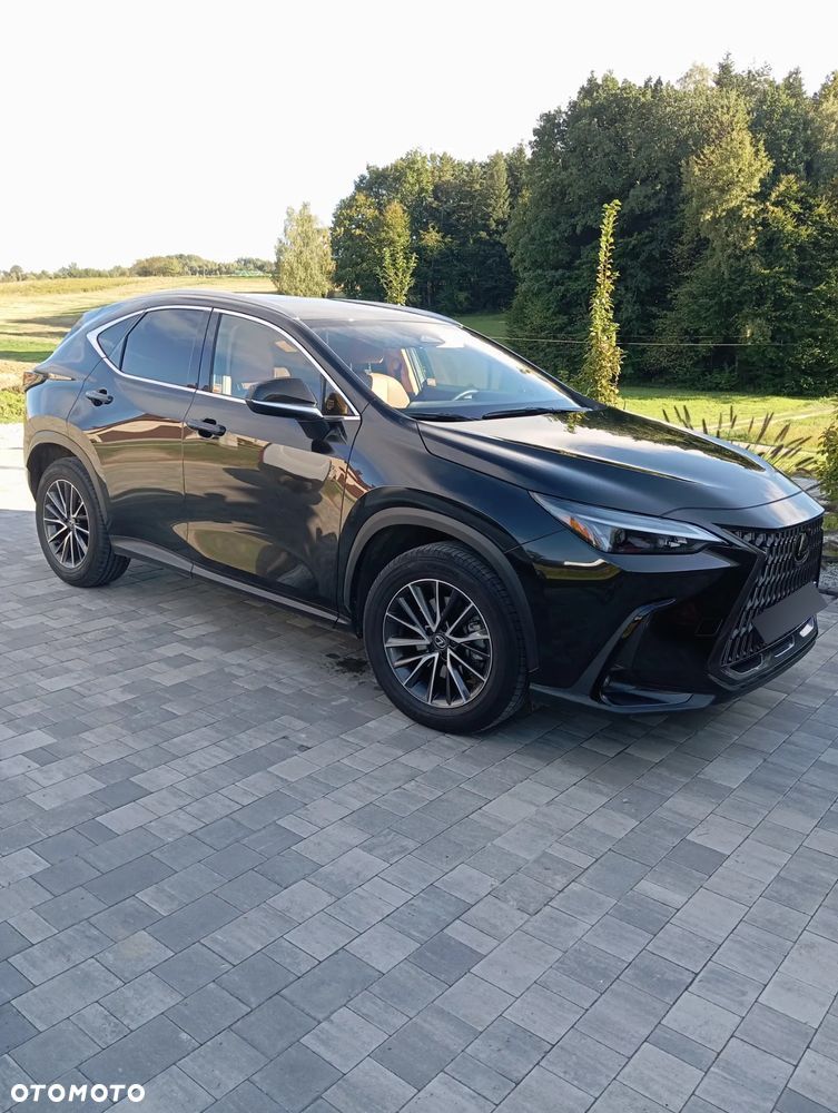 Lexus NX 350h Prestige AWD - 1