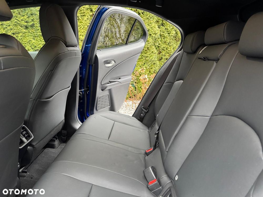 Lexus UX 250h GPF F Sport Design 2WD - 10