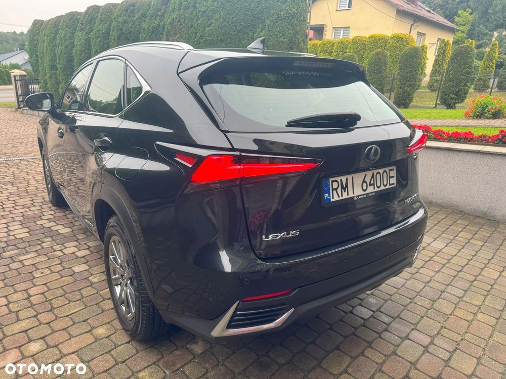 Lexus NX 350h Business AWD - 8