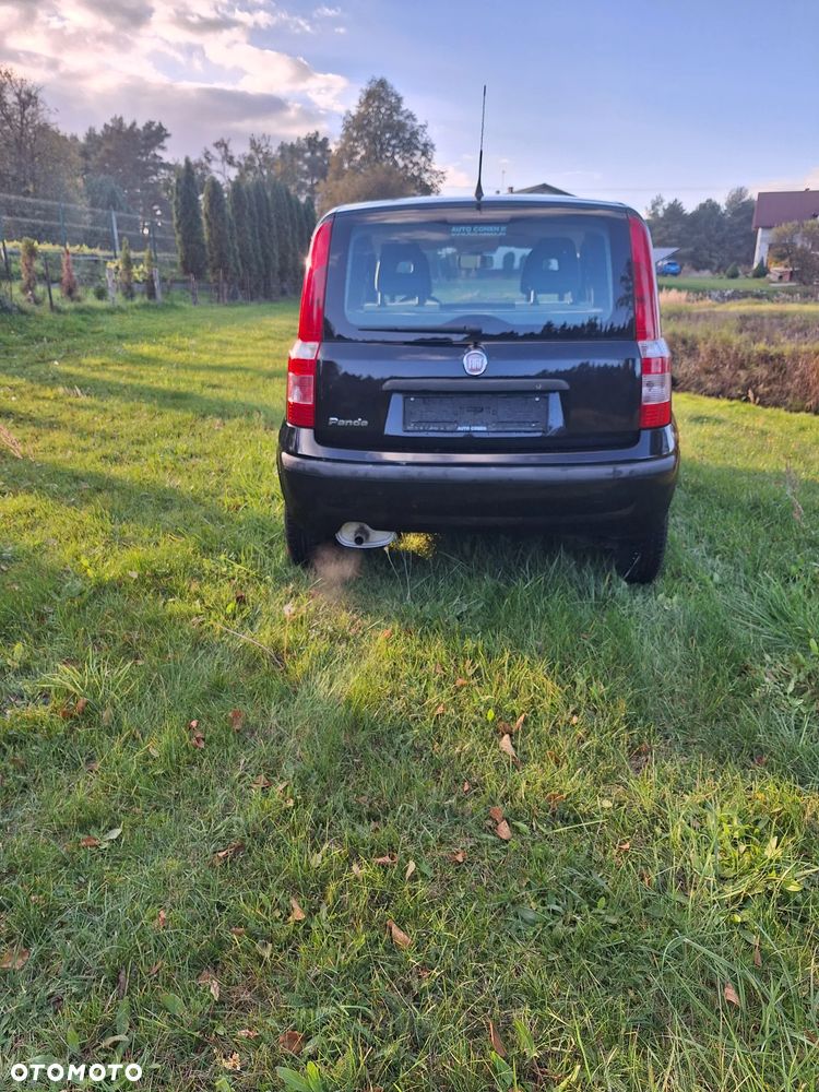 Fiat Panda 1.2 Active - 3