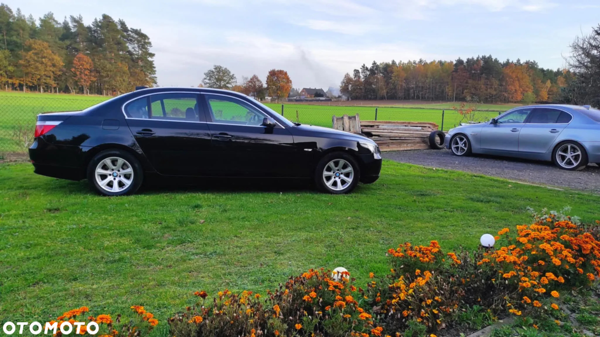 BMW Seria 5 520d - 3