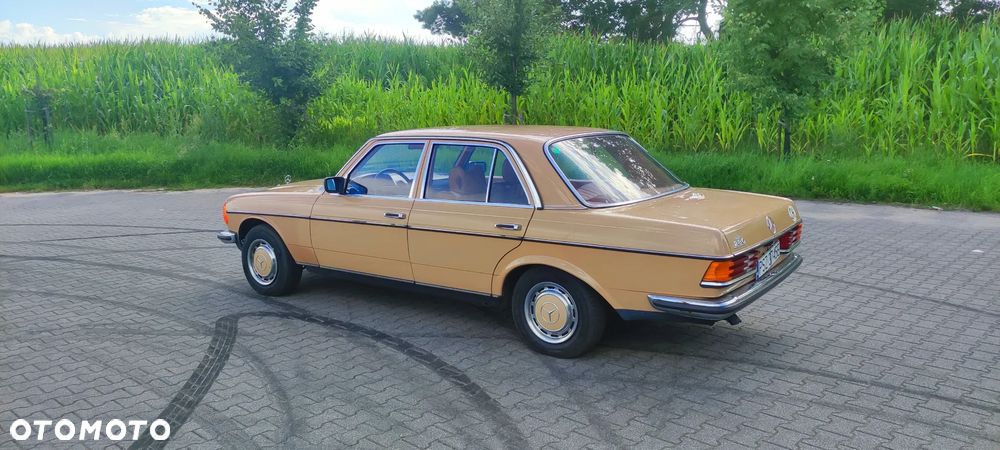 Mercedes-Benz W123 - 4