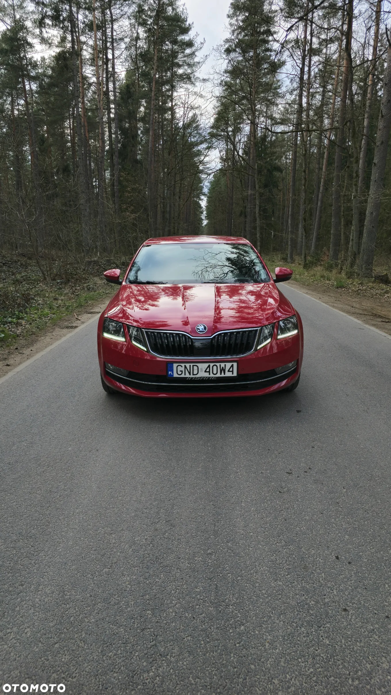 Skoda Octavia 2.0 TSI GPF Ambition DSG - 6