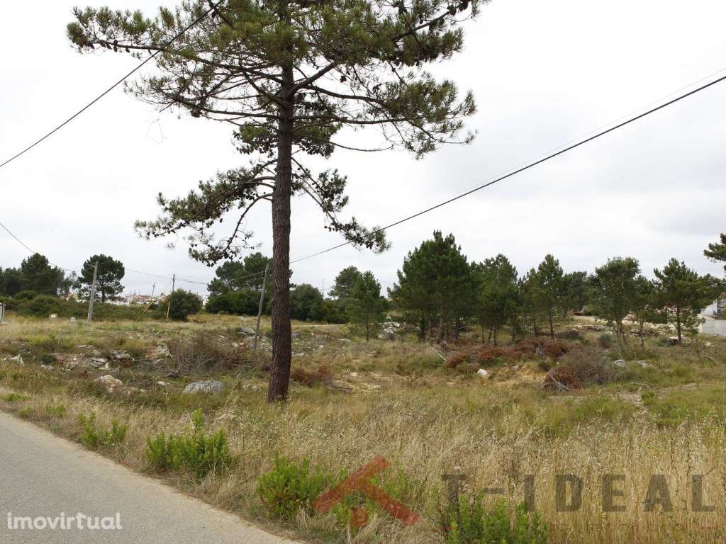 Terreno com viabilidade aprovada para 10 moradias - Grande imagem: 2/8