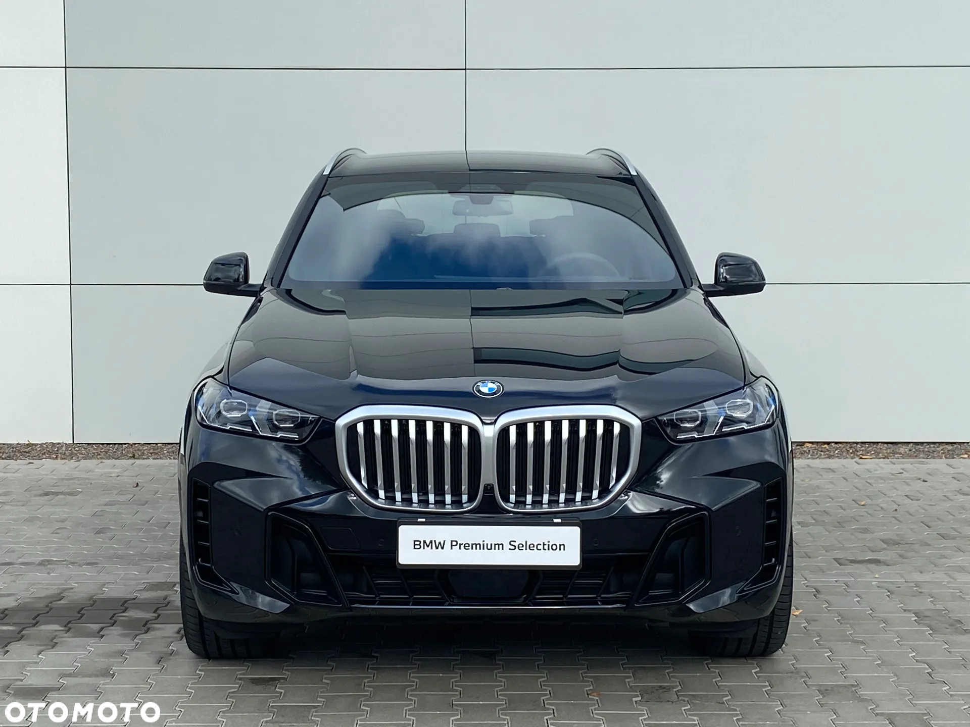 BMW X5 xDrive30d sport - 6