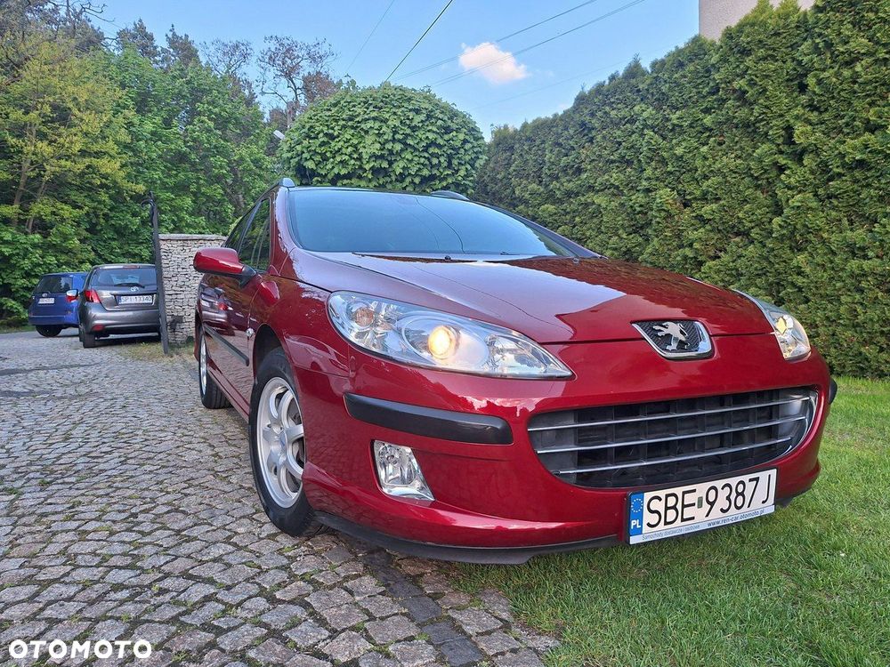 Peugeot 407 - 28