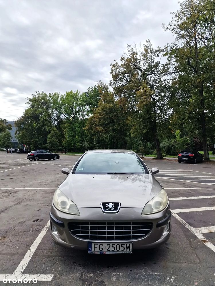 Peugeot 407 - 27