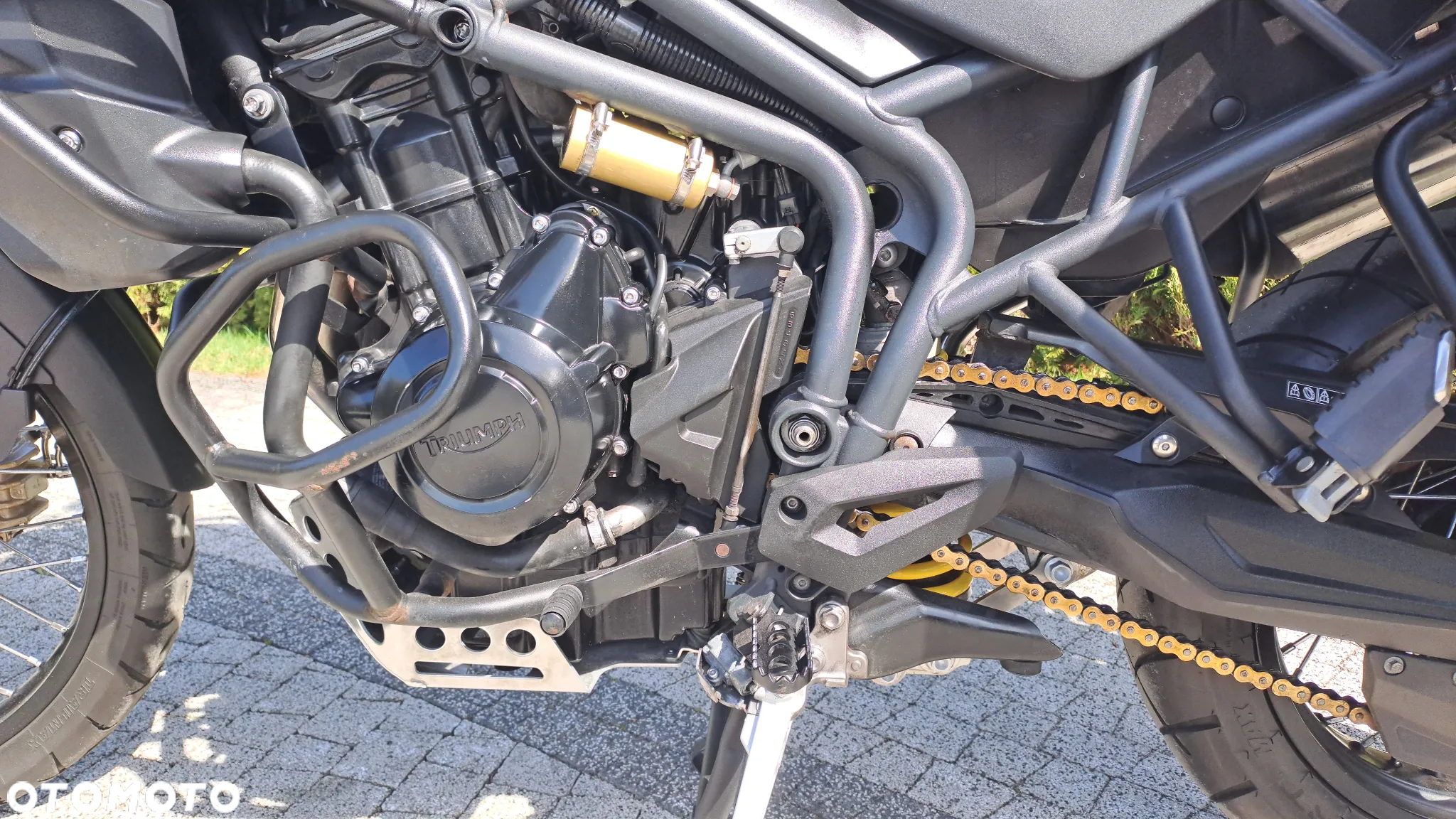 Triumph Tiger - 31