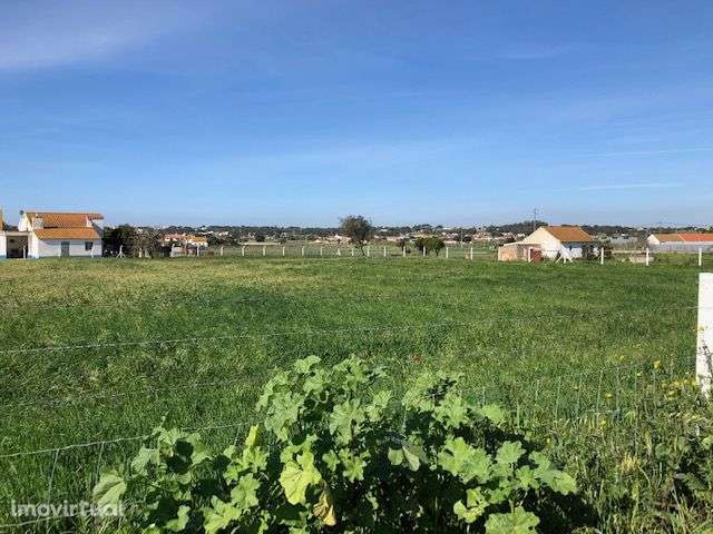 TERRENO AGRÍCOLA com 4500m2 na  QUINTA DO ANJO (PALMELA) - Grande imagem: 5/10