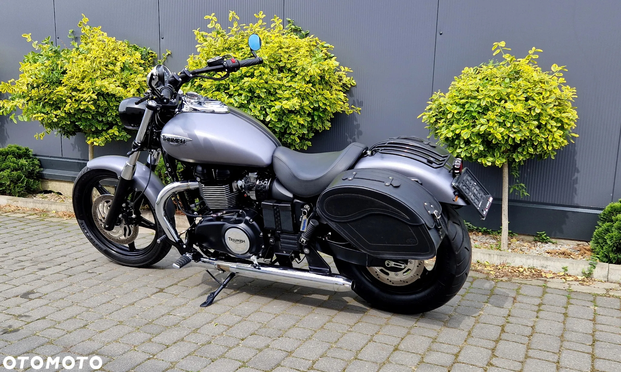 Triumph Speedmaster - 7