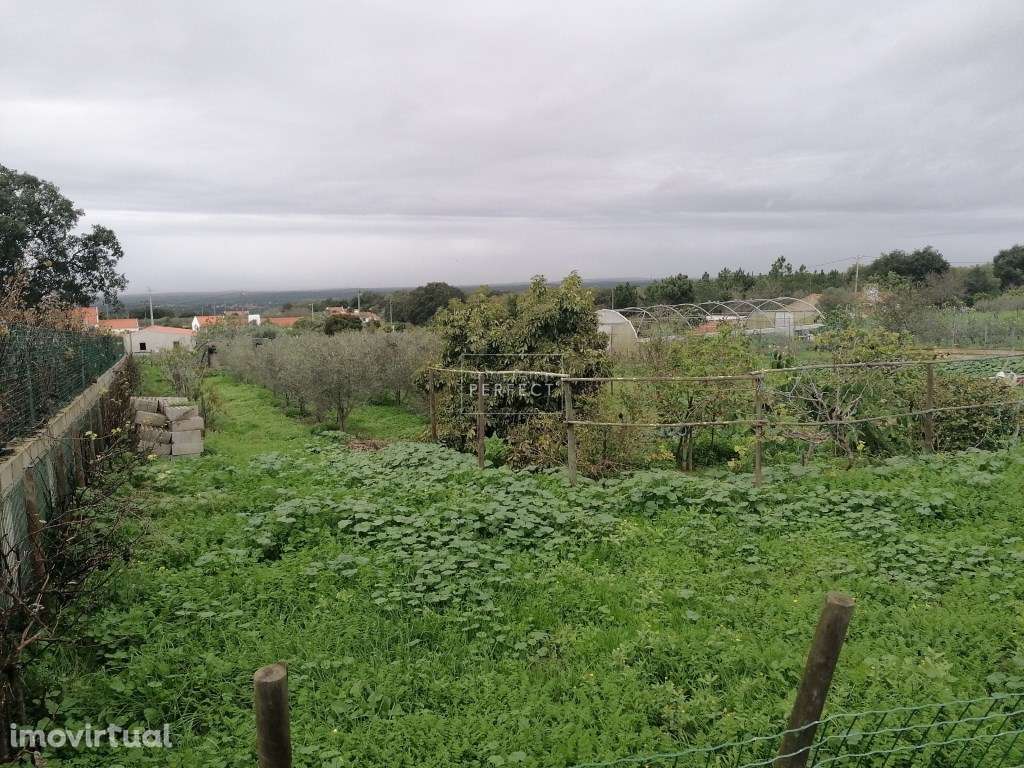 Terreno Misto com Vista Oceano - Grande imagem: 2/11