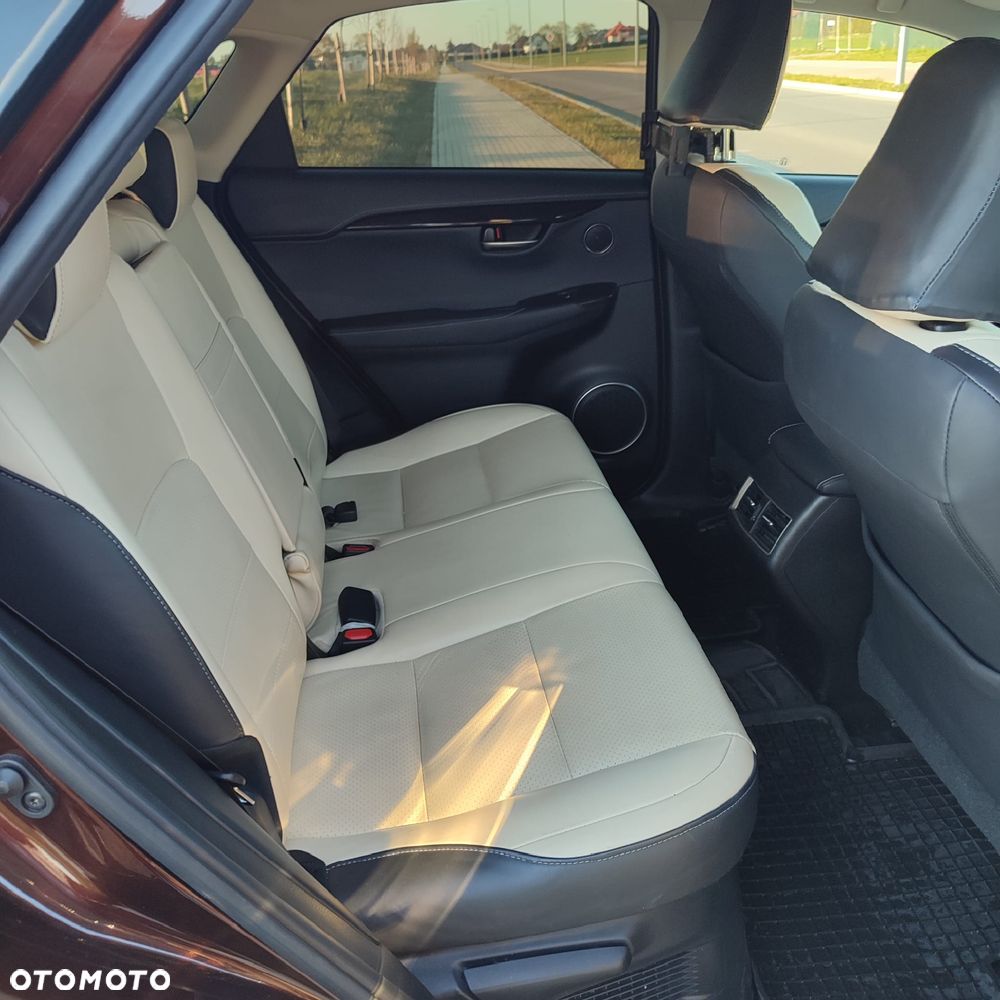 Lexus NX 300h Elegance Optimum AWD - 12