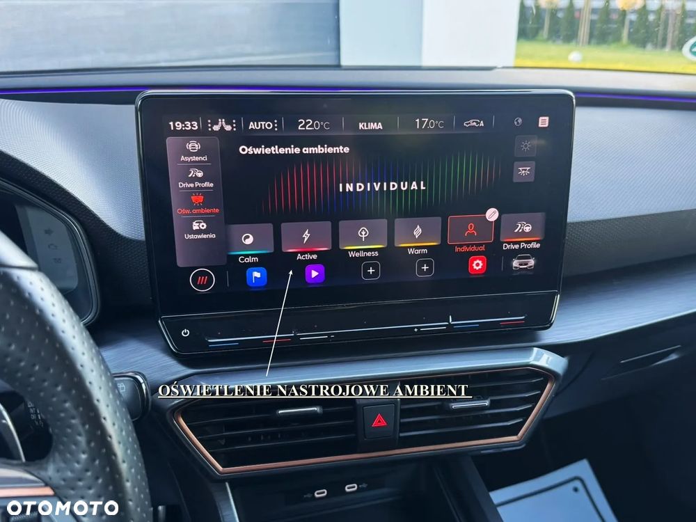 Cupra Leon 2.0 TSI DSG VZ CUP - 21