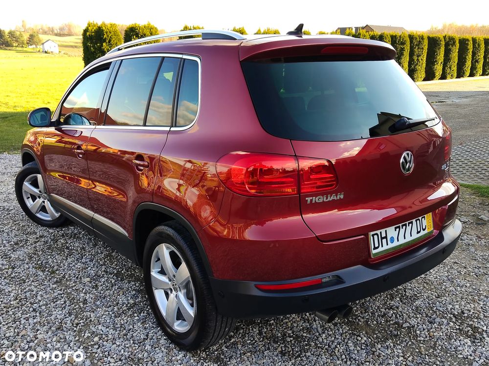 Volkswagen Tiguan 2.0 TDI DPF BlueMotion Technology Freestyle - 2