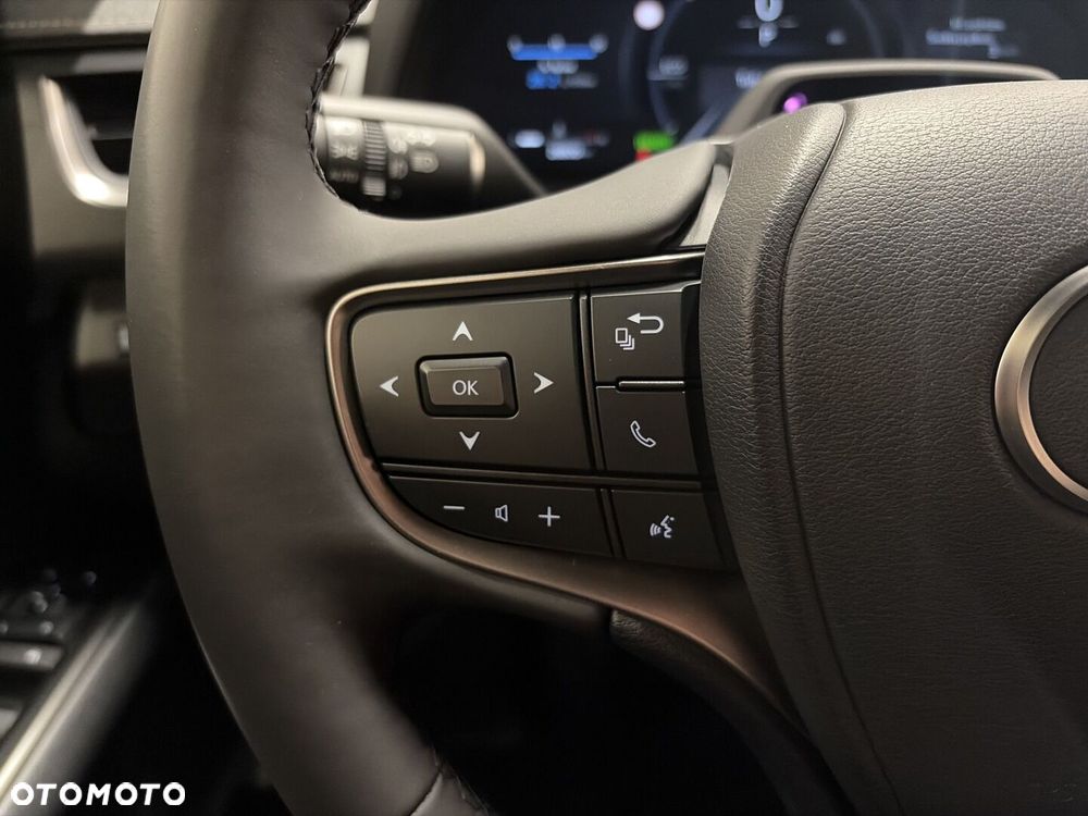 Lexus UX 300h F Sport Design - 14