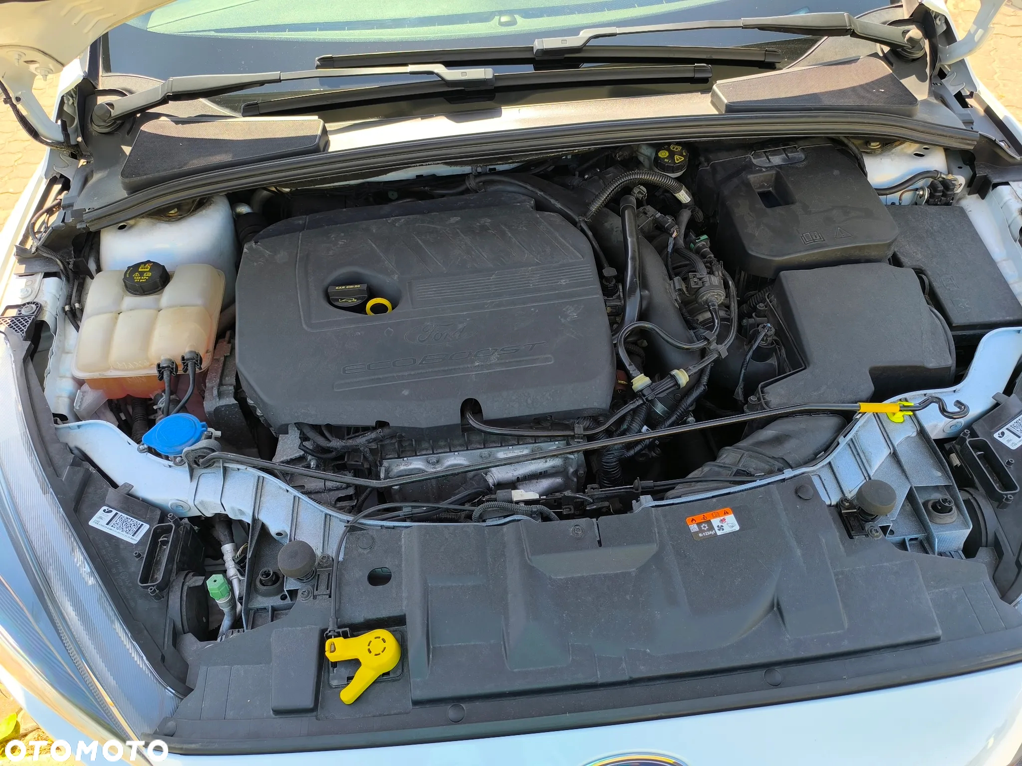Ford Focus - 11