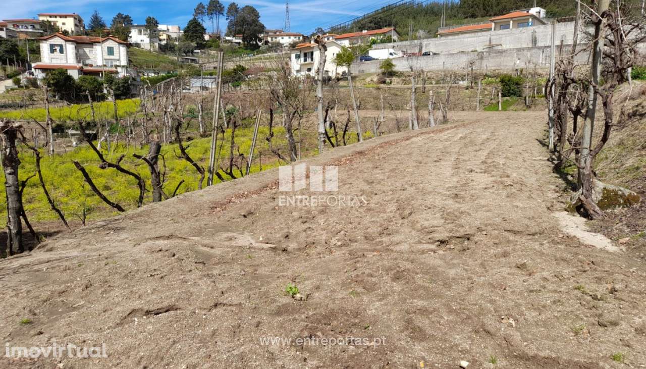 Venda Terreno, Fregim, Amarante - Grande imagem: 3/40