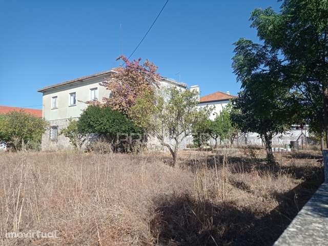 Casa Apalaçada, Avis - Grande imagem: 4/26