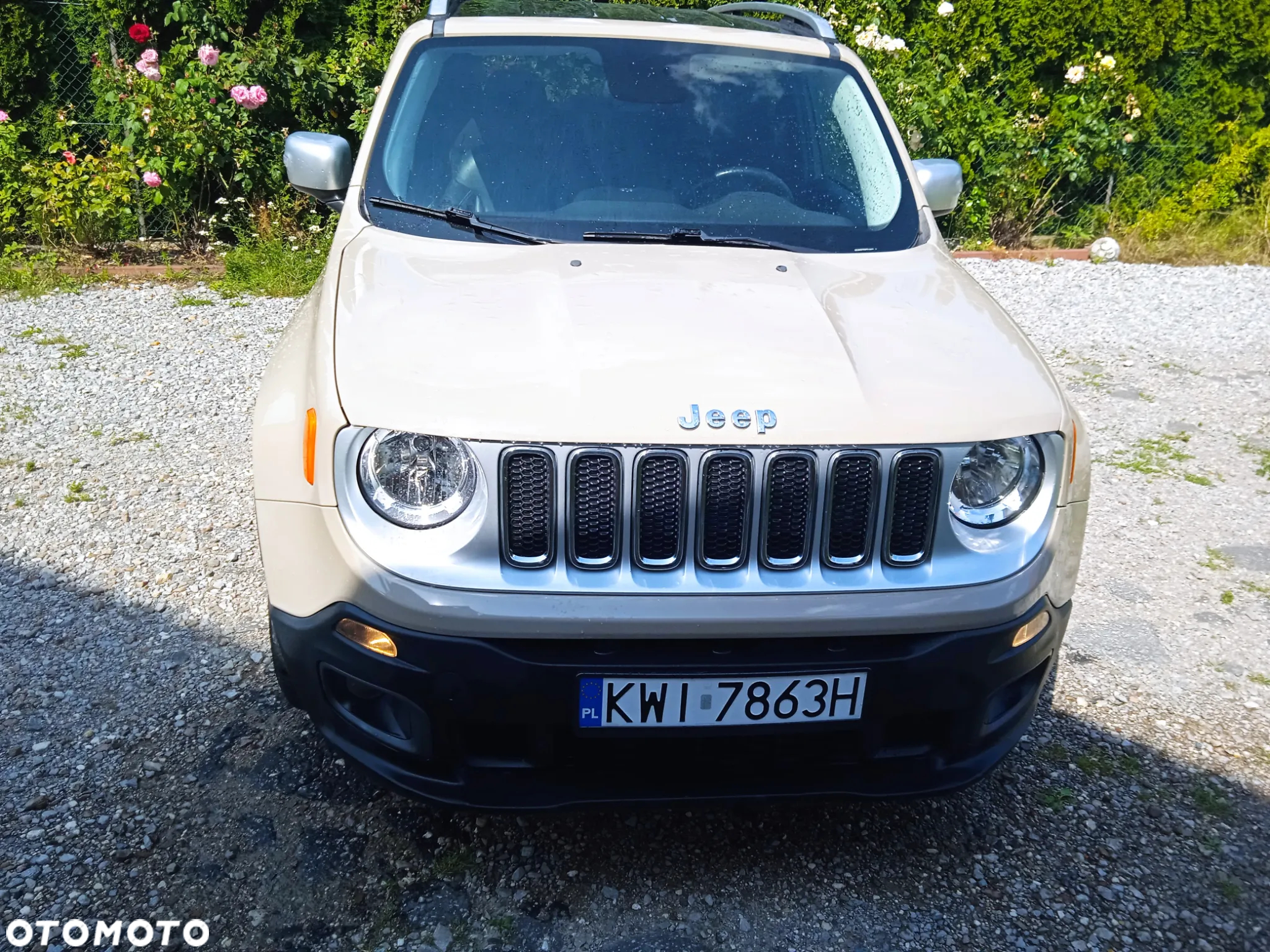 Jeep Renegade - 12