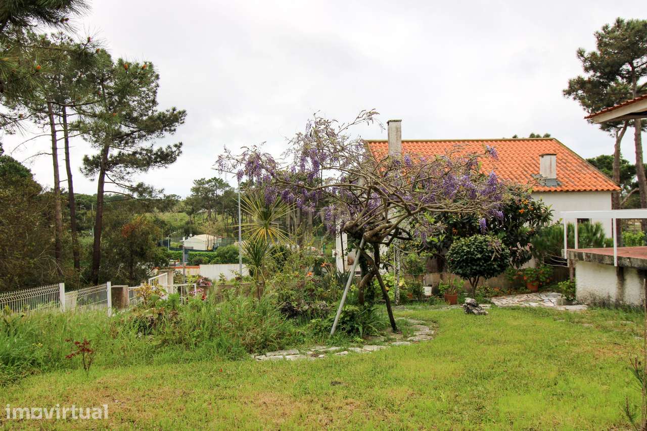 Casa de Madeira T2, em lote com 400m2, na Lagoa de Albufeira - Grande imagem: 5/39