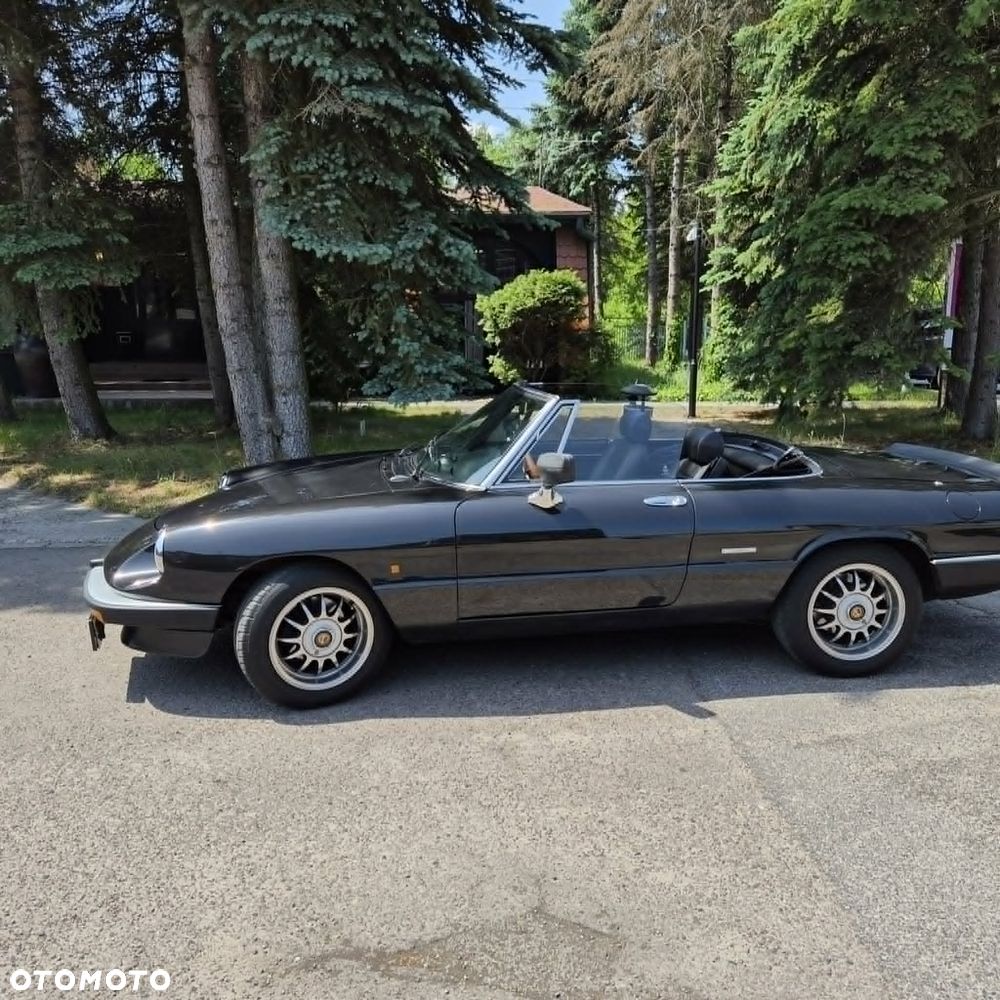 Alfa Romeo Spider - 23
