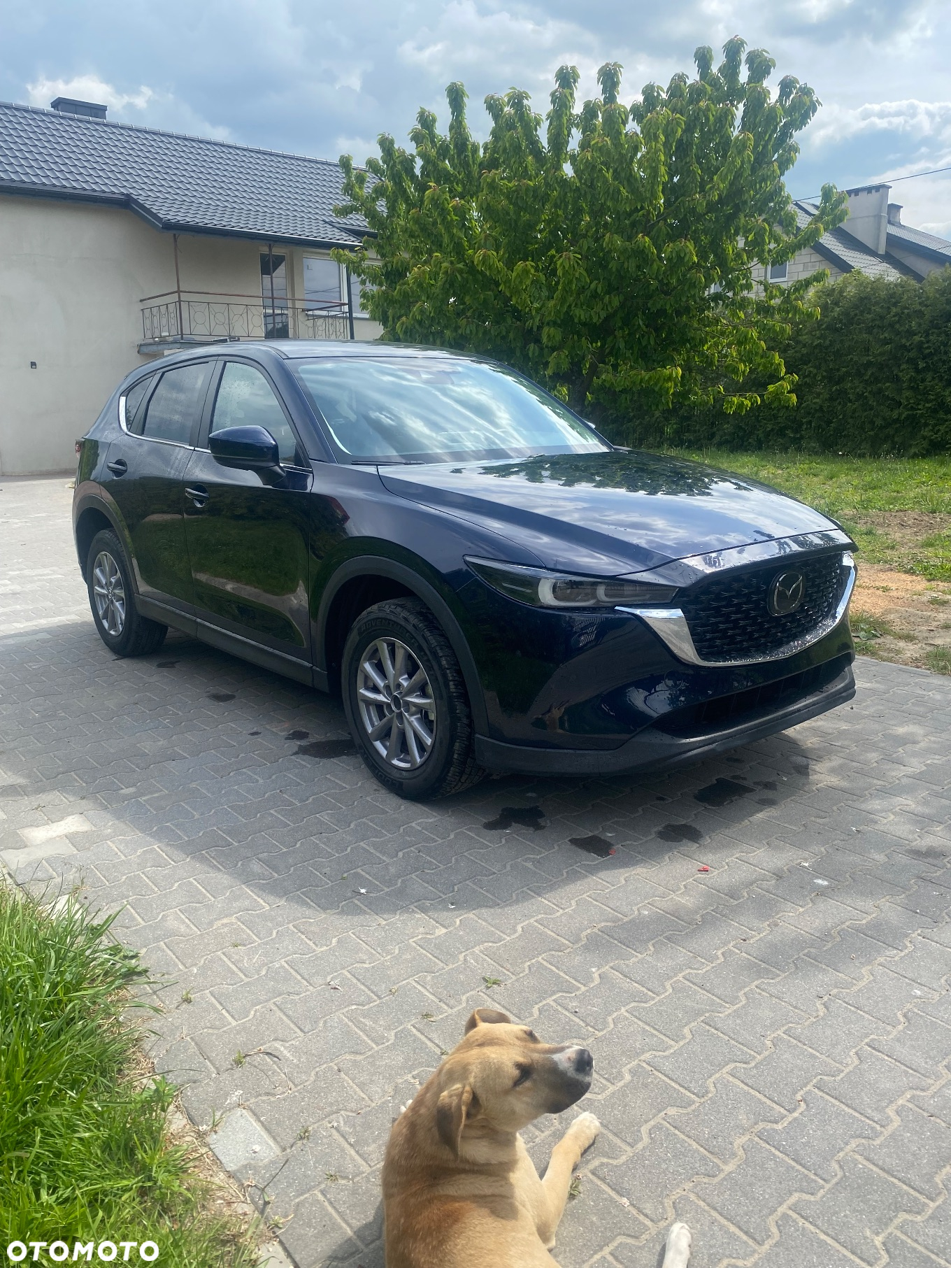 Mazda CX-5 2.5 Black AWD - 4