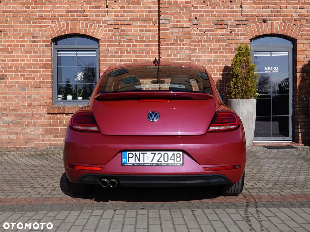 Volkswagen Beetle - 8