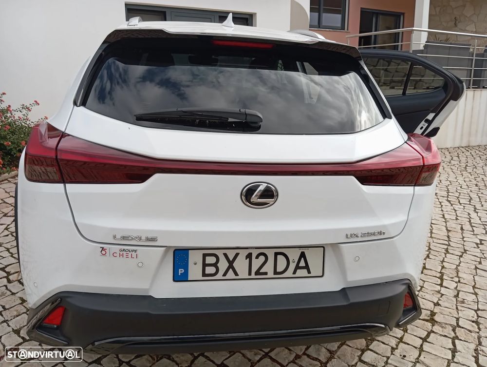 Lexus UX 250h F Sport+ - 12