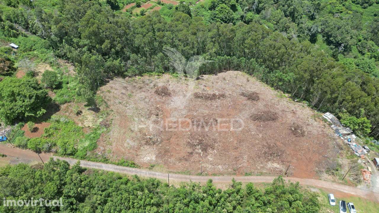 Terreno 7.220 m² plano no Santo da Serra – Ideal para Turismo Rural... - Grande imagem: 4/12