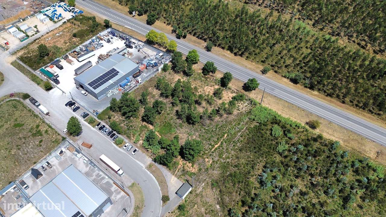 Terreno Urbano em Pelariga, Pombal - 6048m² com Viabilidade - Grande imagem: 3/15