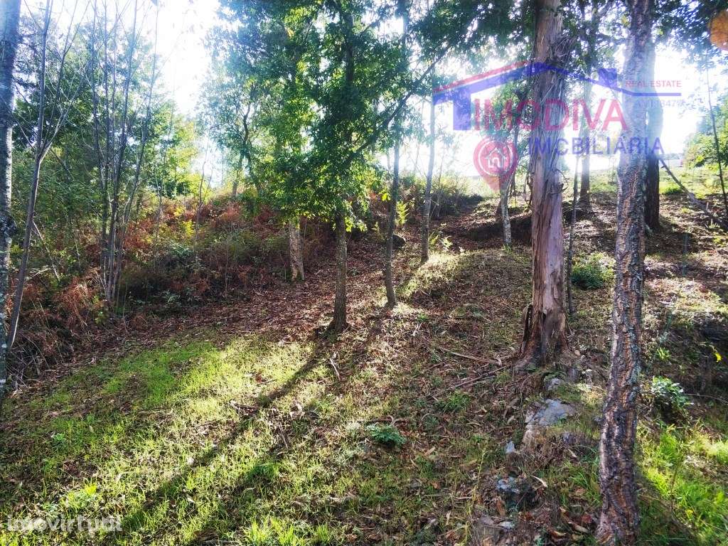 Terreno com 1790m2 em Pedrógão Grande - Grande imagem: 2/14