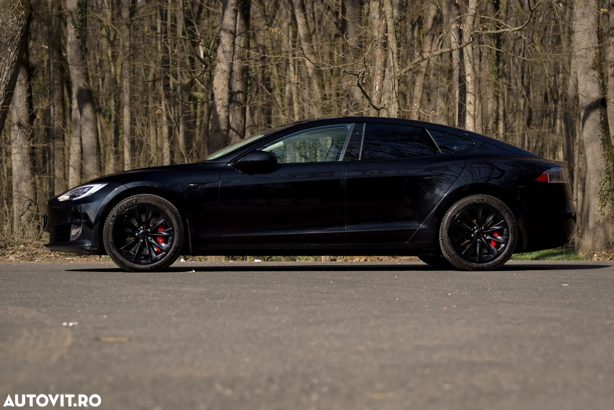 Tesla Model S Performance - 10