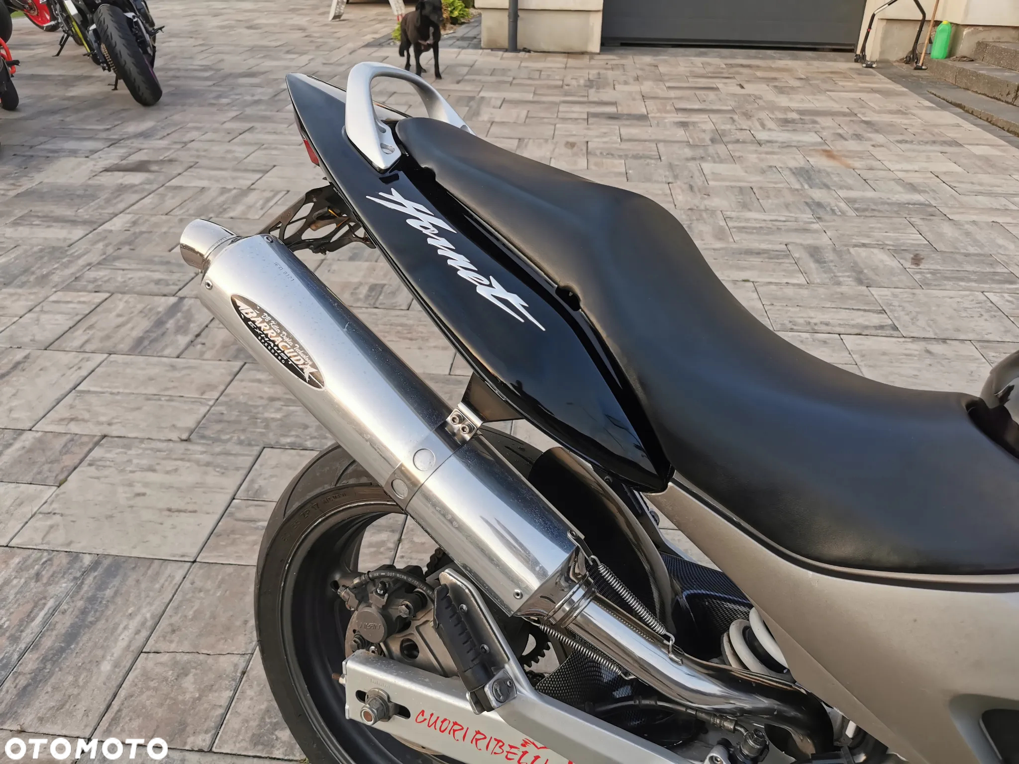 Honda Hornet - 19
