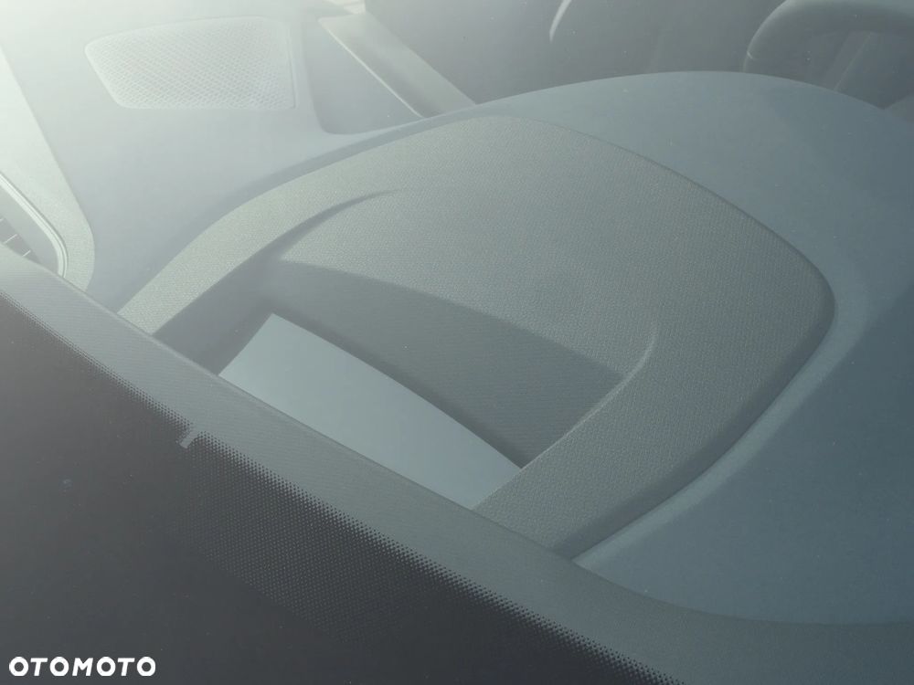 Cupra Terramar 2.0 TSI 4Drive DSG VZ - 24