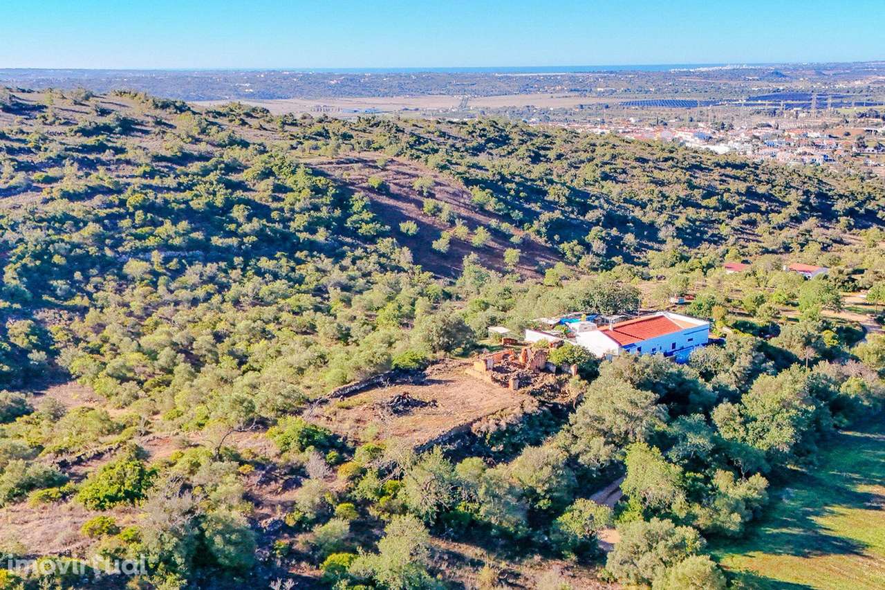 Terreno com Ruína e Projeto Aprovado para Moradia T3 — 54.720 m² a 10 - Grande imagem: 4/14