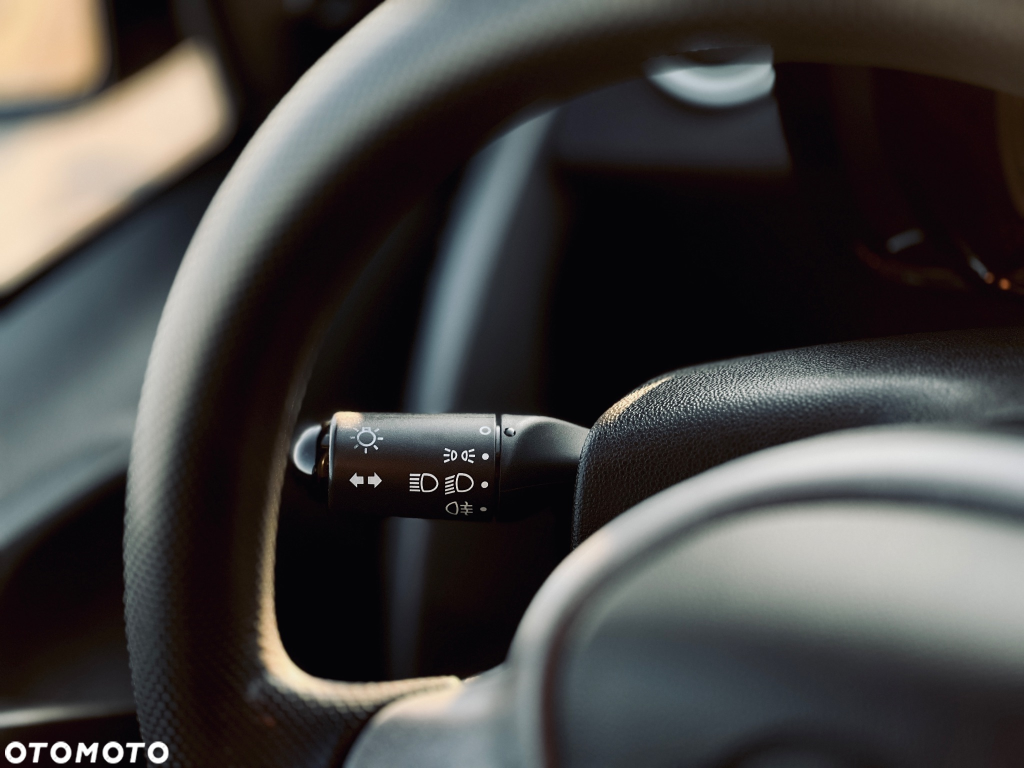 Smart Fortwo - 33