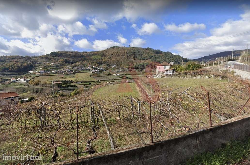 Terreno com 4.500m2 em S. M. Zêzere, Baião. - Grande imagem: 2/2