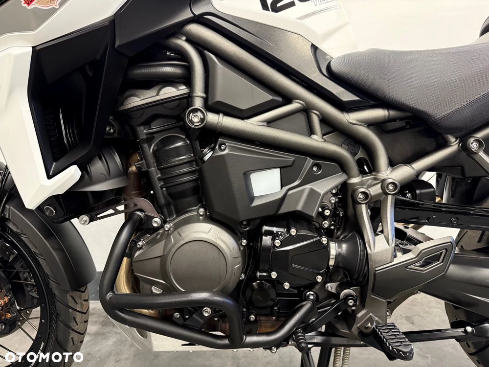 Triumph Tiger - 15