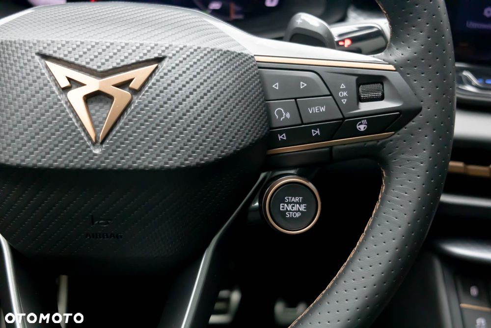 Cupra Terramar 2.0 TSI 4Drive DSG VZ - 21