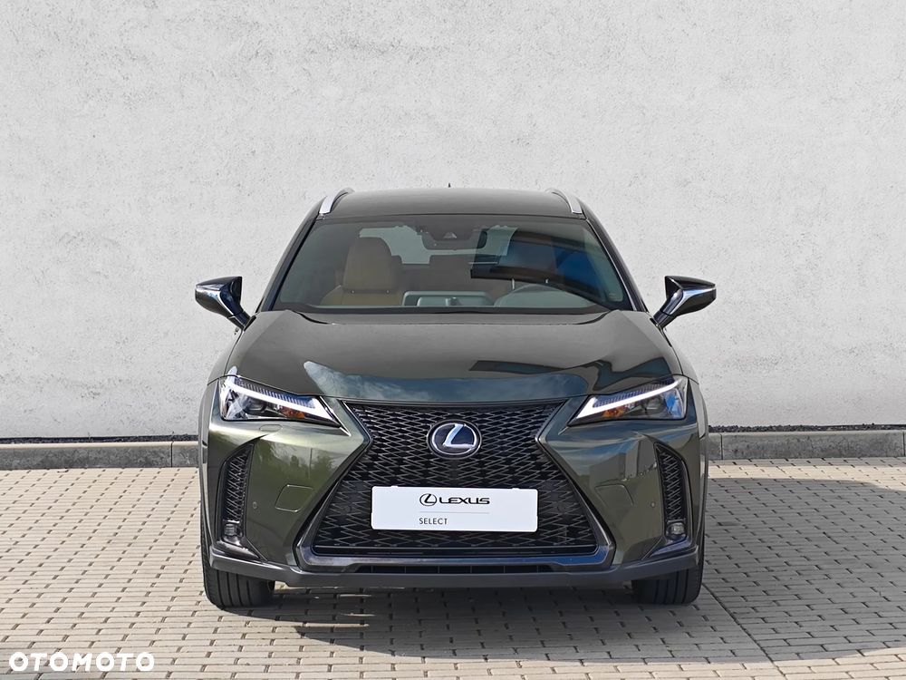 Lexus UX 250h GPF F Sport Design+ 2WD - 7
