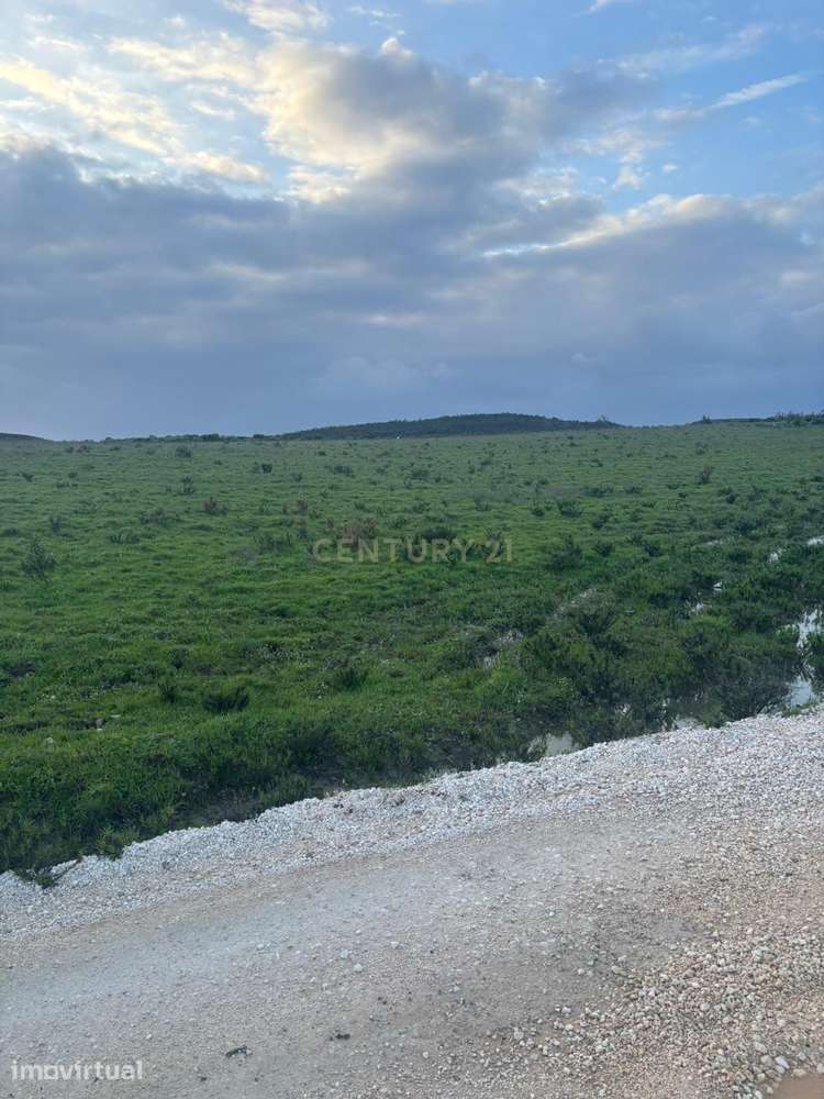33,6 Hectares de Natureza na Costa Vicentina | Privacidade Absoluta a - Grande imagem: 4/21