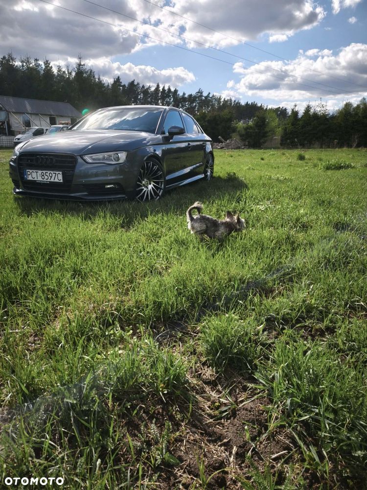 Audi A3 Limousine - 1