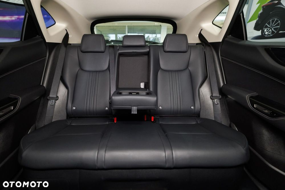 Lexus NX - 18