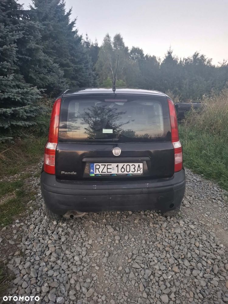 Fiat Panda 1.2 Classic Eco - 3