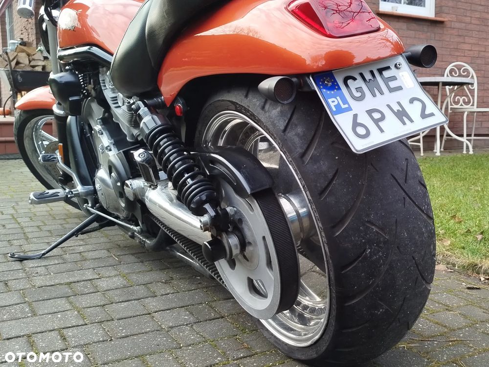 Harley-Davidson Softail V-Rod - 24