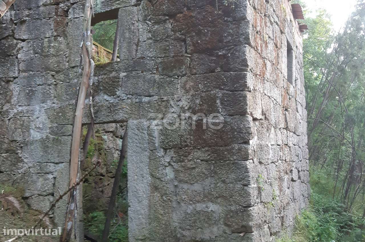Quinta Junto ao rio Mondego - Grande imagem: 5/21