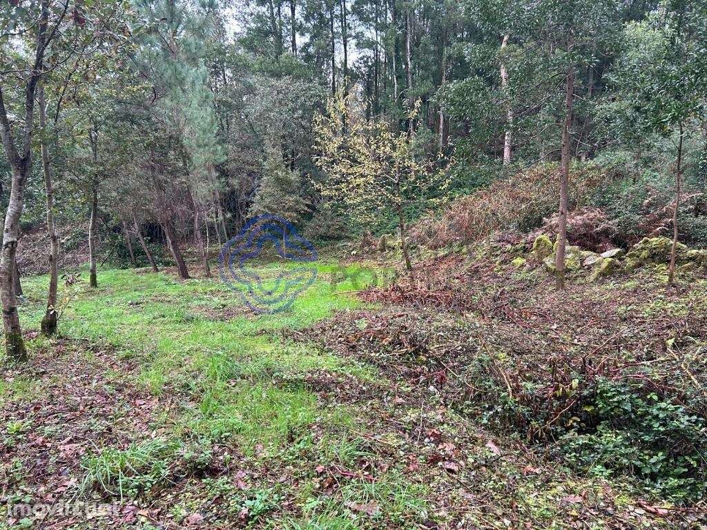 Terreno, Ganfei, Valença - Grande imagem: 4/18