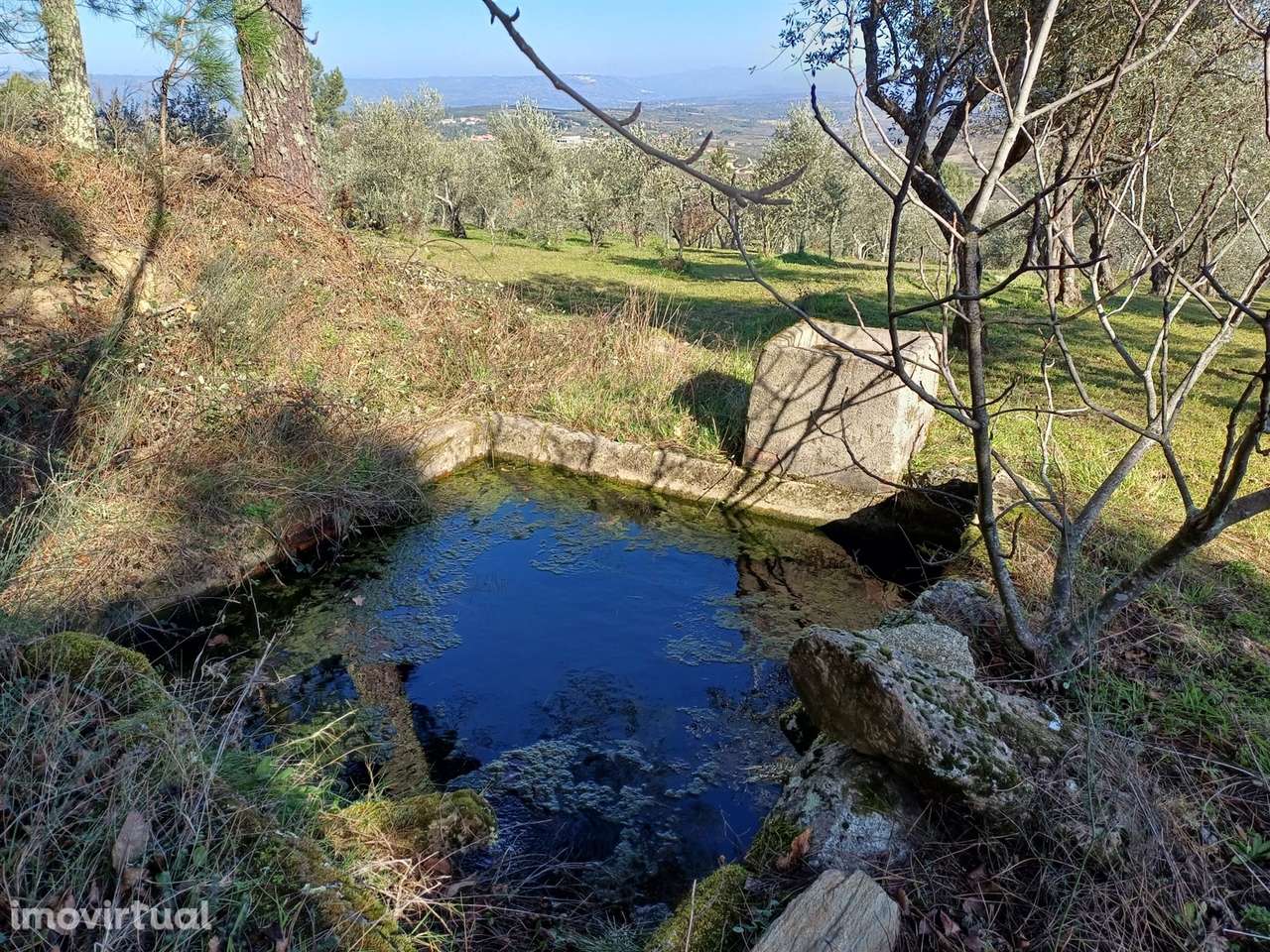 Quintinha T1 Venda em Figueiró da Serra e Freixo da Serra,Gouveia - Grande imagem: 2/9